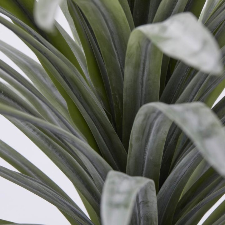 EDG Enzo De Gasperi Bromelia artificiale con vaso alta 58 cm
