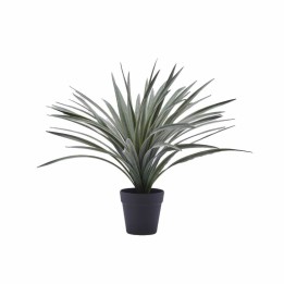 EDG Enzo De Gasperi Bromelia artificiale con vaso alta 45 cm