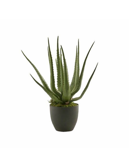 Aloe Chic Artificiale H55 con Vaso Verde – EDG Enzo De Gasperi