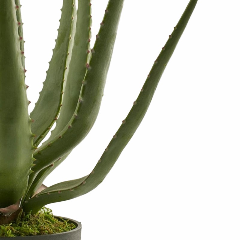 Aloe Chic Artificiale H55 con Vaso Verde – EDG...