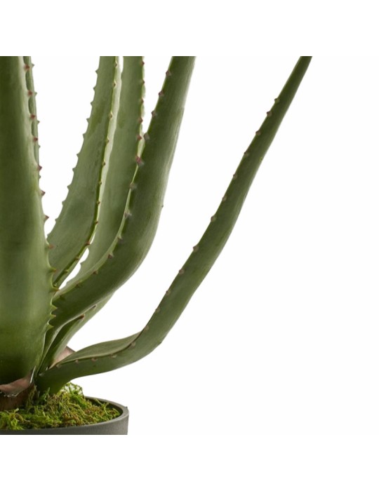 Aloe Chic Artificiale H55 con Vaso Verde – EDG...