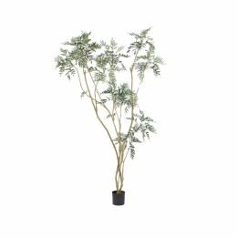 EDG Berberis fortunei artificiale con vaso alta 250 cm