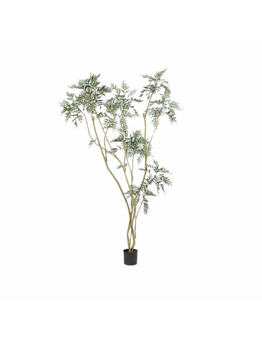 Pianta Artificiale di Lusso Berberis Fortunei con Vaso H250 cm – EDG Enzo De Gasperi