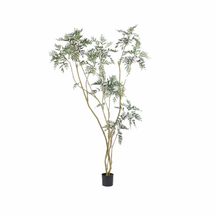 EDG Berberis fortunei artificiale con vaso alta 250 cm
