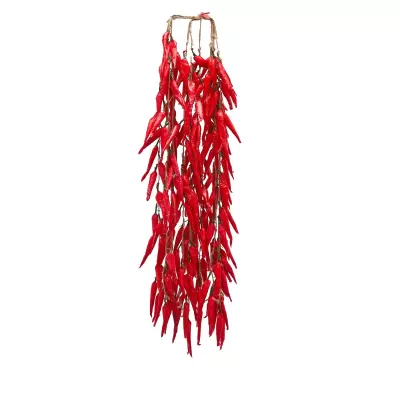 Peperoncino Grappolo EDG – Ghirlanda Decorativa Rustica...