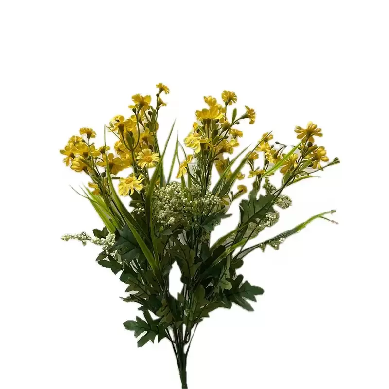 MARGHERITA CESPUGLIO H50