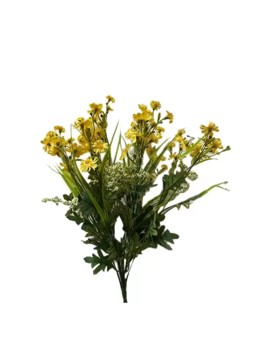 MARGHERITA CESPUGLIO H50