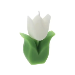 Hervit Creations Candela a tulipano bianca