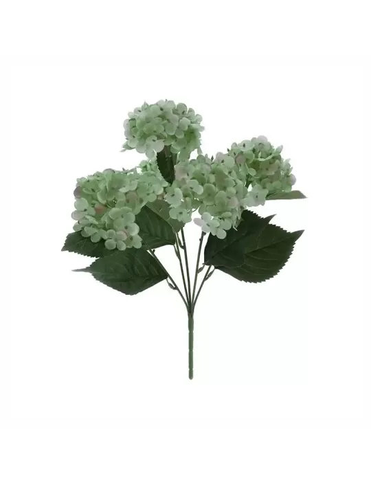 CESPUGLIO 6 ORTENSIE L.38CM VERDE