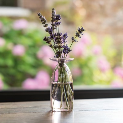 Un Fiore Vaso 22 Rosa Zafferano in Vetro Borosilicato 2