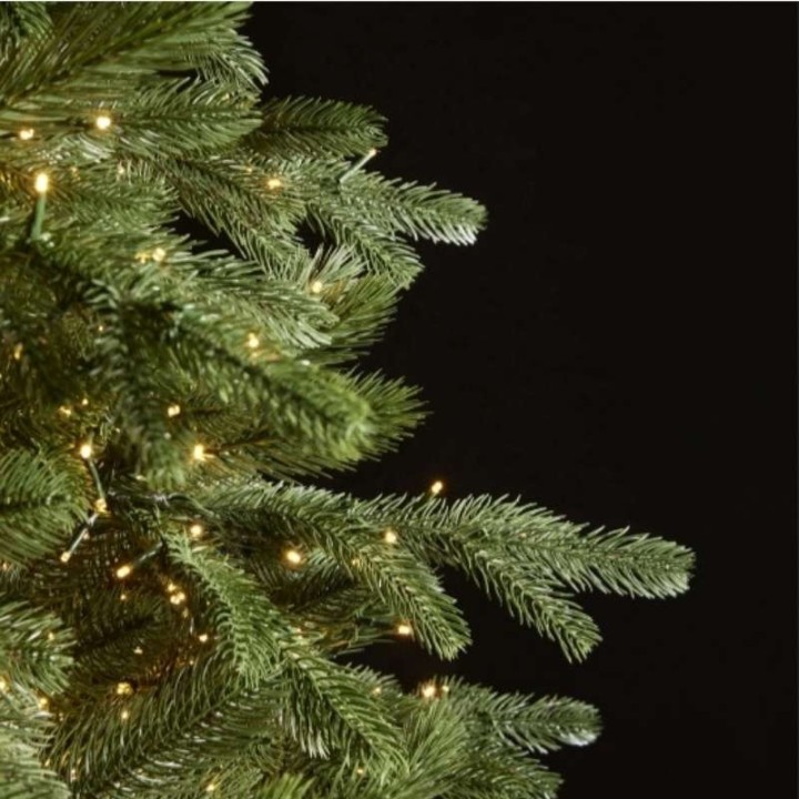 Pino Imperial New 180 cm con 2500 LED – Enzo De Gasperi
