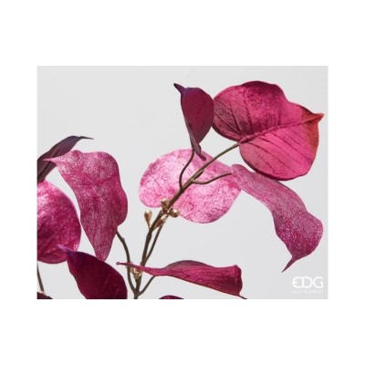 Ramo Ficus Bordeaux in Velluto EDG 80cm 2