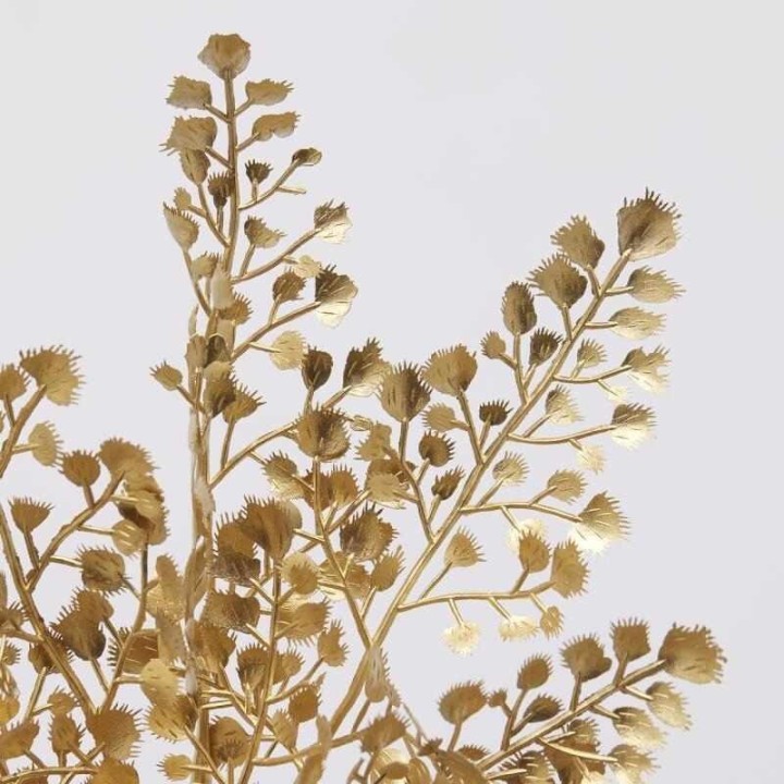 EDG Enzo De Gasperi Ramo di capelvenere oro alto 65 cm