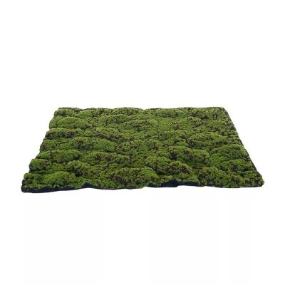 Tappeto di Muschio Artificiale Medio Verde-Marrone –...
