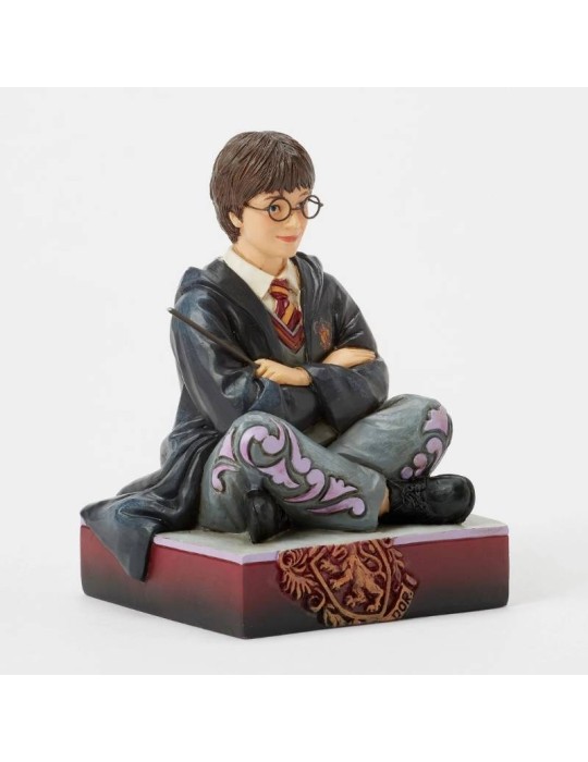 Figura Harry Potter con Bacchetta Magica –...