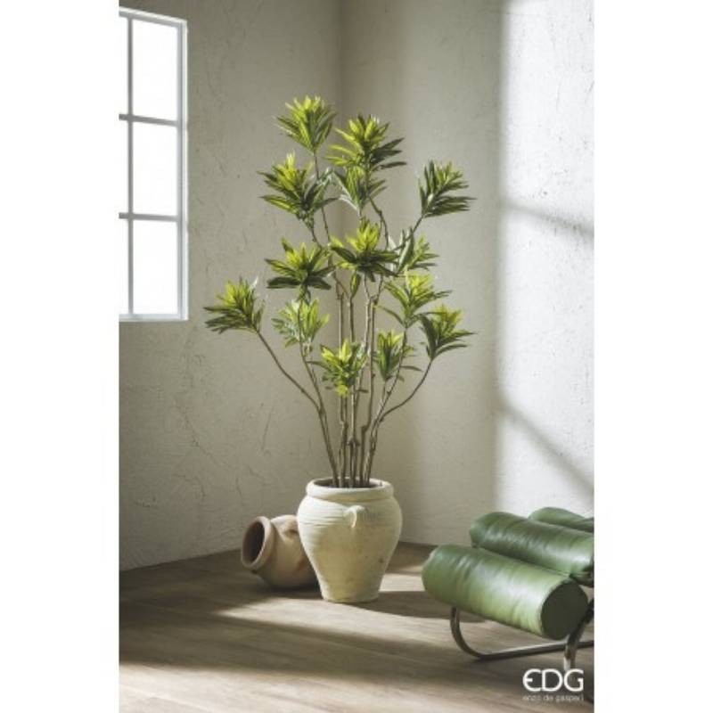 Dracena Artificiale EDG con Vaso H 160 cm –...