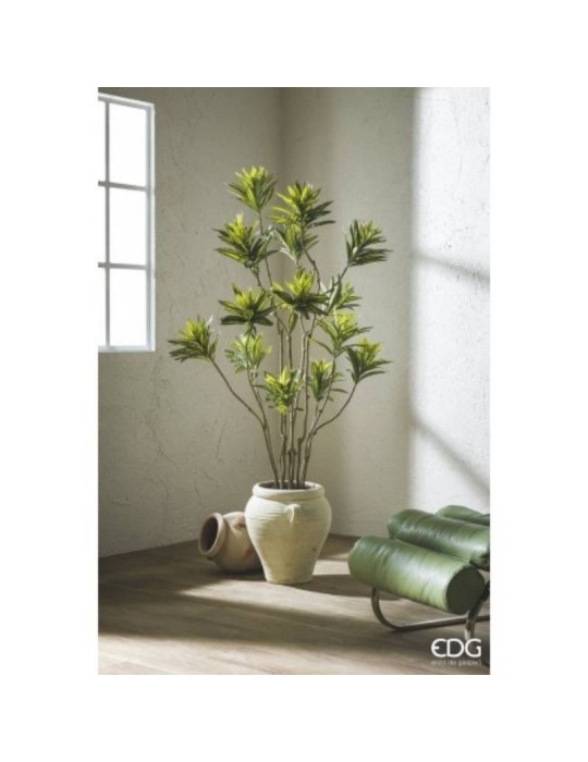Dracena Artificiale EDG con Vaso H 160 cm –...