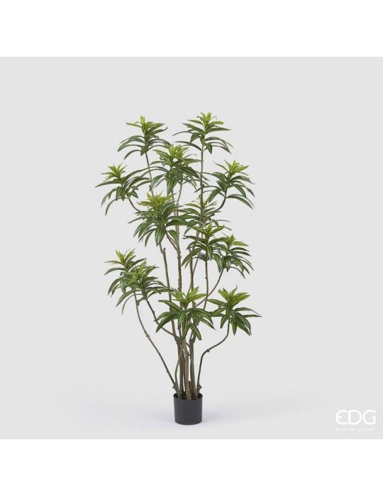 Dracena Artificiale EDG con Vaso H 160 cm – Verde Decorativo di Design