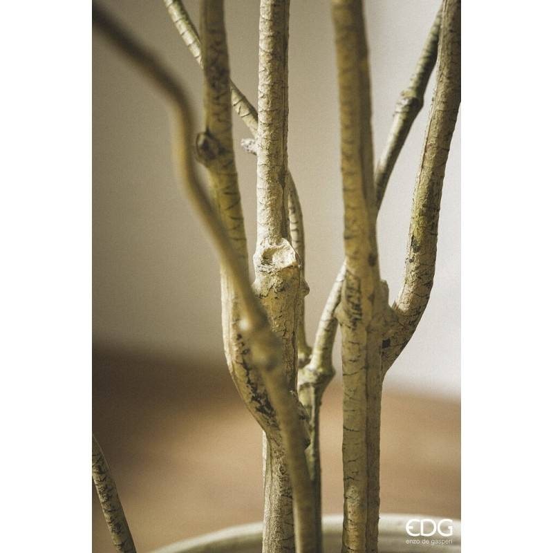 Dracena Artificiale EDG con Vaso H 160 cm –...