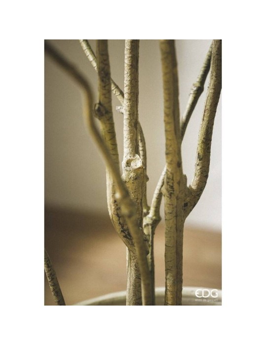 Dracena Artificiale EDG con Vaso H 160 cm –...