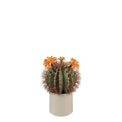 Cactus con Fiori Arancioni e Vaso Minimal – L’Oca Nera