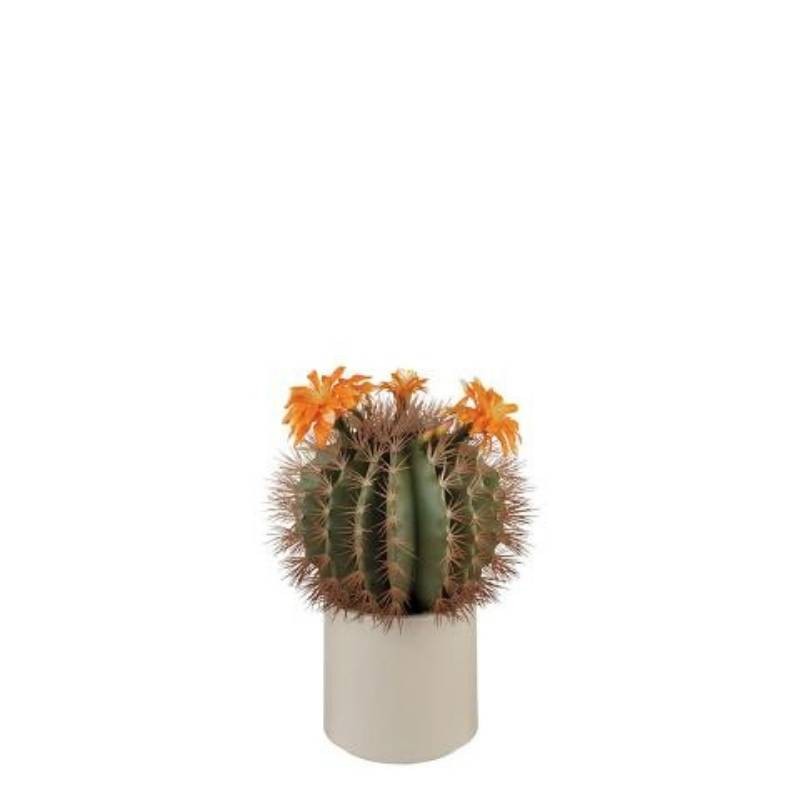 Cactus con Fiori Arancioni e Vaso Minimal – L’Oca Nera