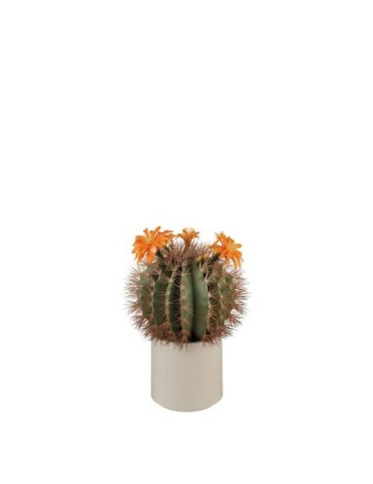 Cactus con Fiori Arancioni e Vaso Minimal – L’Oca Nera