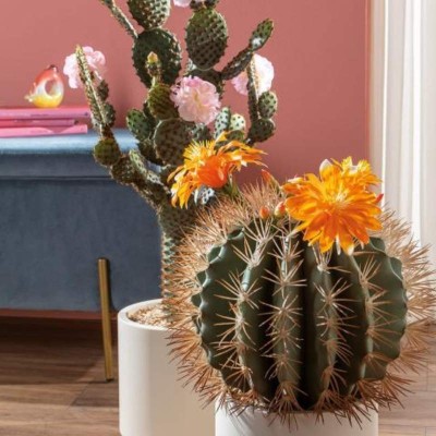 Cactus con Fiori Arancioni e Vaso Minimal – L’Oca Nera 2
