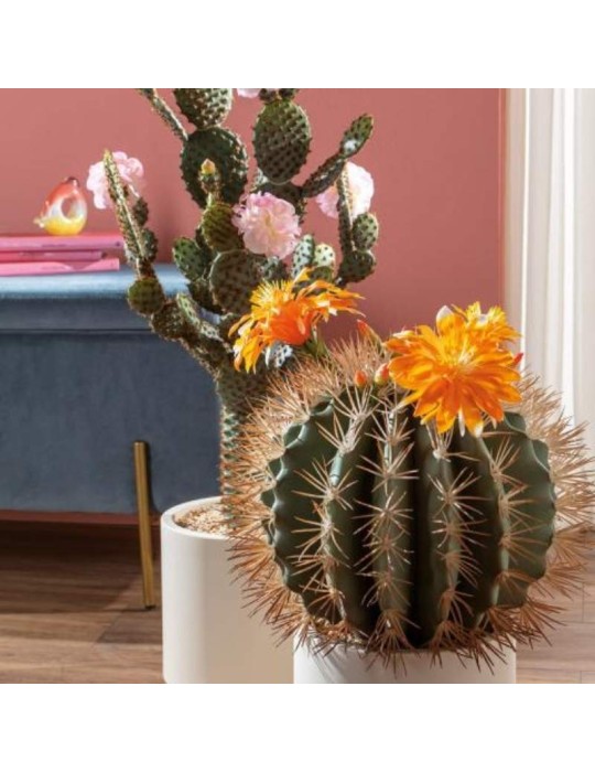 Cactus con Fiori Arancioni e Vaso Minimal –...