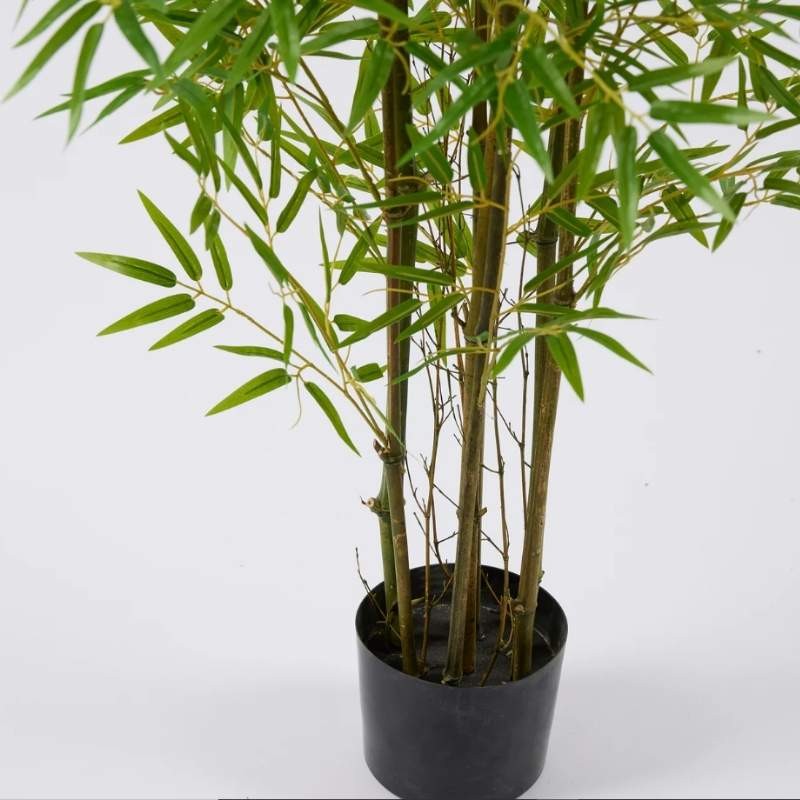 Bamboo con Vaso H 210 cm – EDG