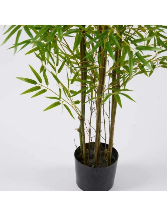 Bamboo con Vaso H 210 cm – EDG