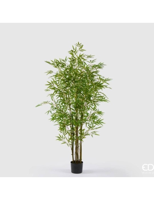 Bamboo con Vaso H 210 cm – EDG
