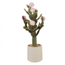 L'Oca Nera Cactus con fiori rosa e vaso collezione Fashion