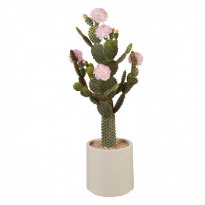 Cactus con Fiori Rosa e Vaso – L’Oca Nera | Collezione...