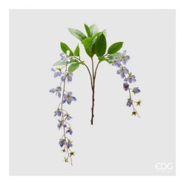 EDG Enzo De Gasperi 2 rami di clematis Viticella alti 105 cm