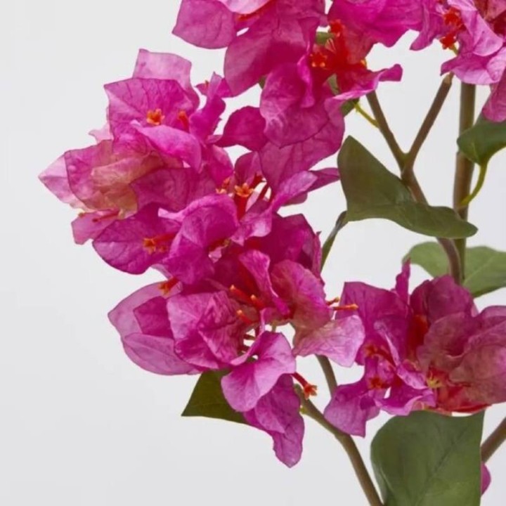 EDG Bouganvillea Dea ramo artificiale alto 122 cm