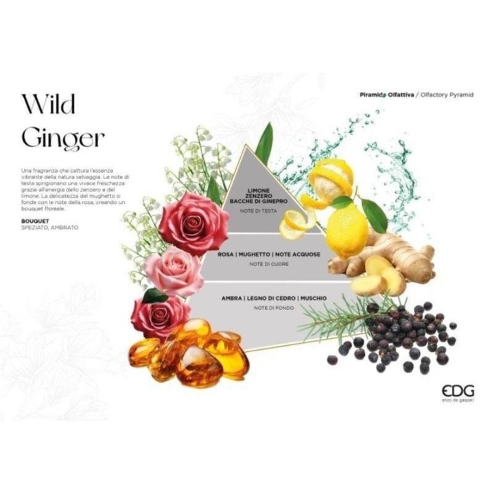 EDG Enzo De Gasperi Diffusore Deluxe Wild Ginger 1.200 ml