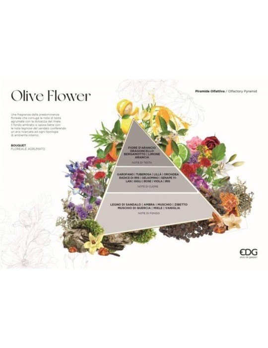 Profumatore Bottiglia Deluxe 1.200 ML Olive...