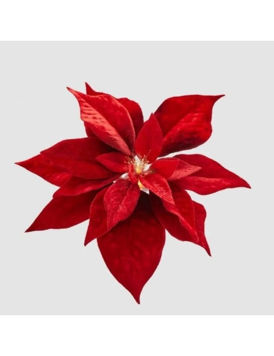 Stella di Natale Velvet Ø23 cm con Luce e Clip...