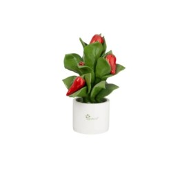Gli Alberelli Pianta media di peperoncino in ceramica