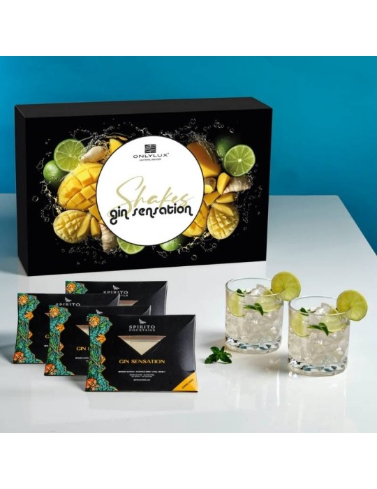 Gin Sensation Shakes – Confezione Regalo con...