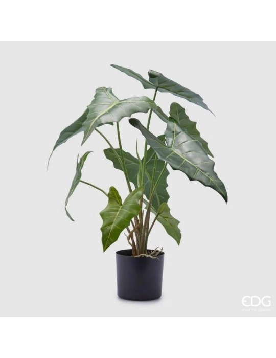 Pianta Artificiale Alocasia Chic H58 cm con...