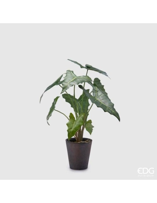 Pianta Artificiale Alocasia Chic H58 cm con Vaso Nero - Enzo De Gasperi (EDG)