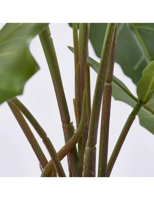 Pianta Artificiale Alocasia Chic H58 cm con...