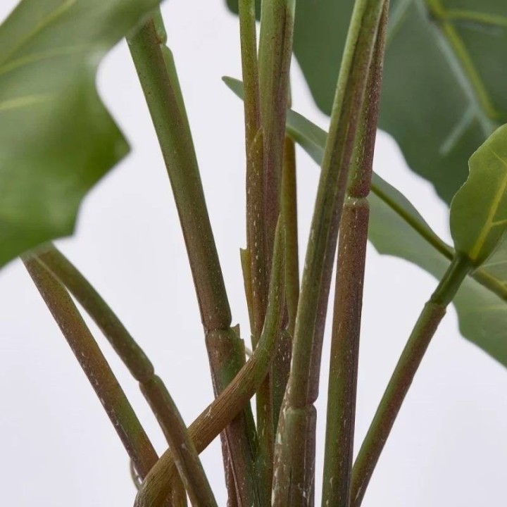 EDG Alocasia Chic artificiale vaso nero alta 58 cm