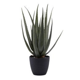 EDG Aloe Chic artificiale vaso nero alta 70 cm