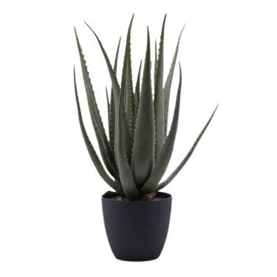 Pianta Artificiale Aloe Chic con Vaso H 70 cm Verde - EDG...