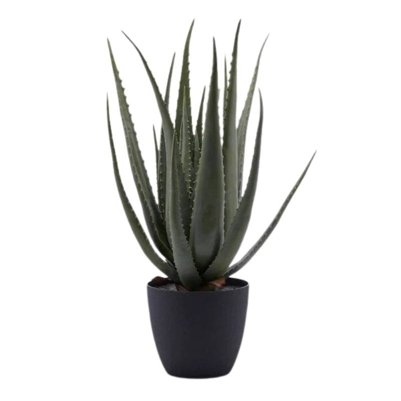 Pianta Artificiale Aloe Chic con Vaso H 70 cm Verde - EDG Enzo De Gasperi