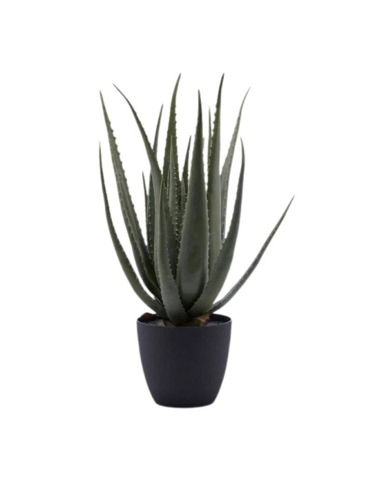 Pianta Artificiale Aloe Chic con Vaso H 70 cm Verde - EDG Enzo De Gasperi
