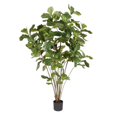 Pianta Artificiale Ficus Lyrata con Vaso H180 cm - EDG...